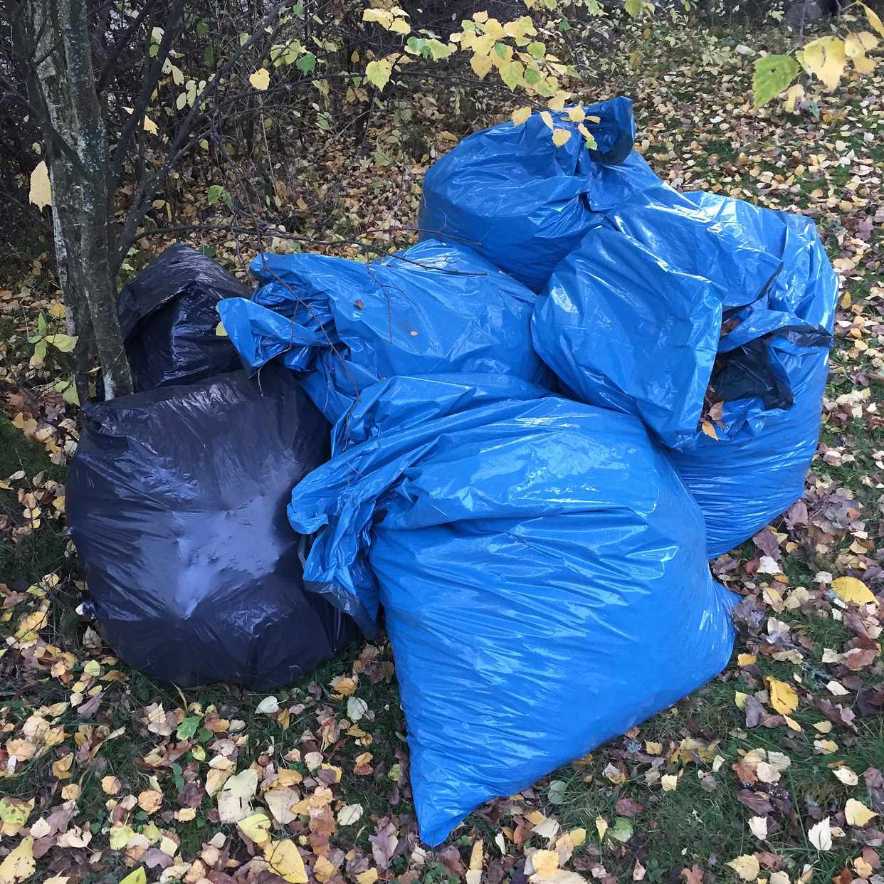 image of 6 säckar trädgårdsavfall - Djursholm
