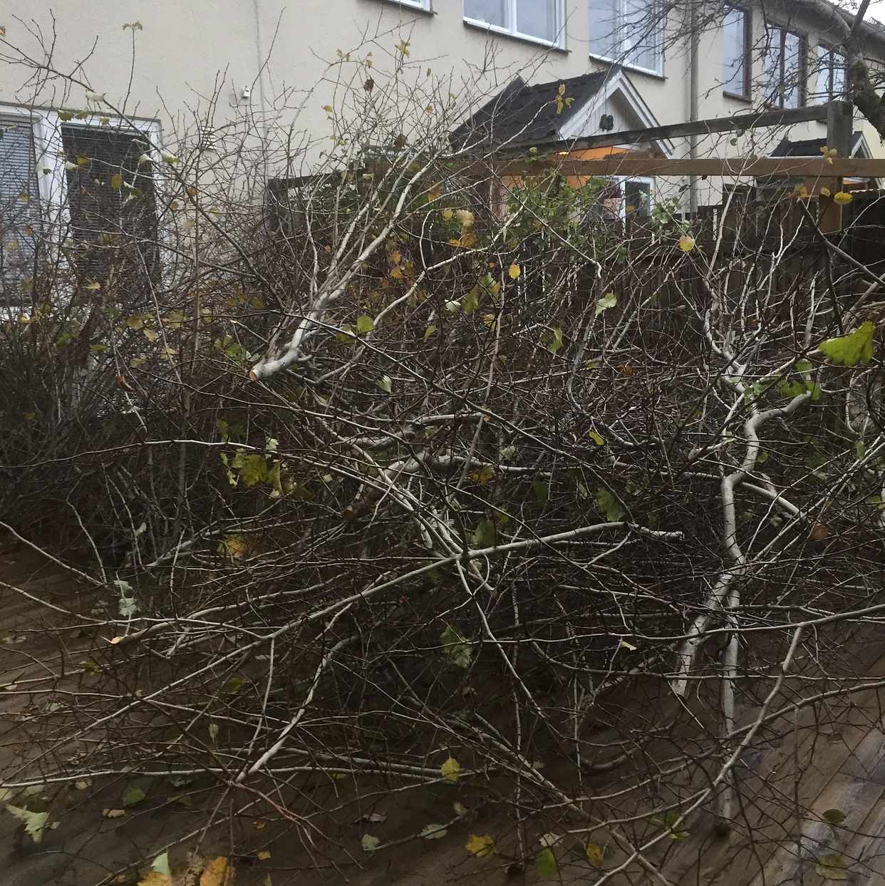 image of Trädgårdsavfall - Farsta