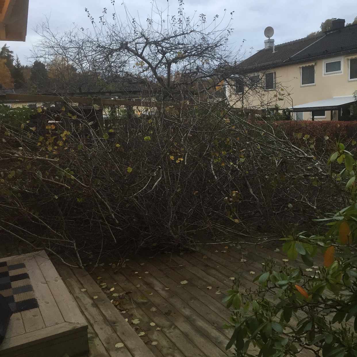image of Trädgårdsavfall - Farsta