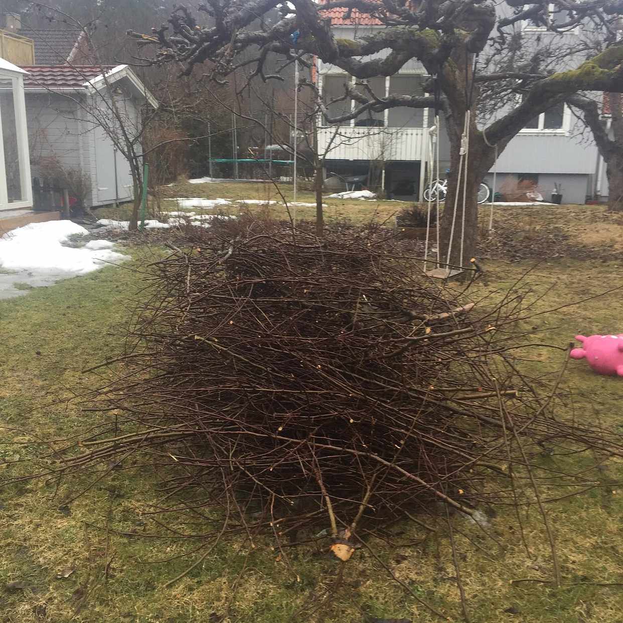 image of Pinnar från två äppelträd - 