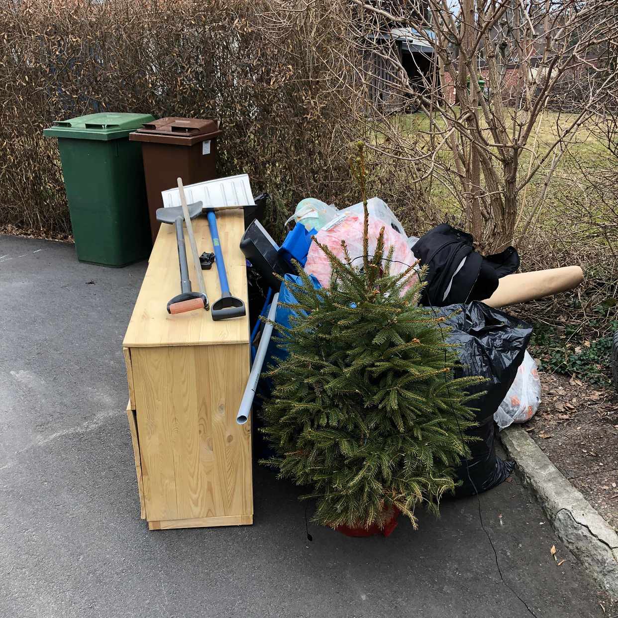 image of Grovsopor och en gran - Lidingö