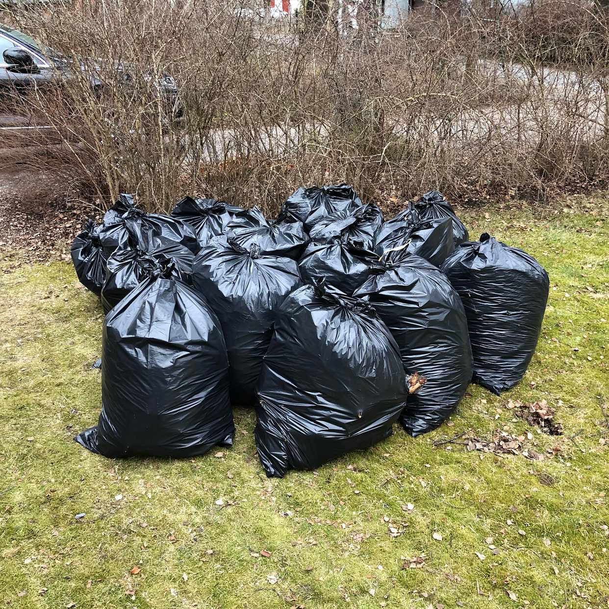 image of Lövsäckar samt ris - Tyresö