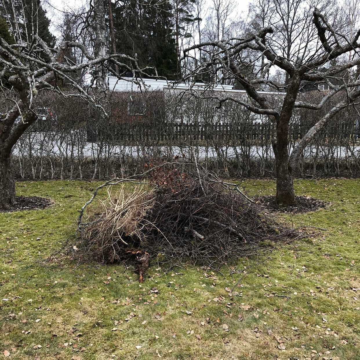 image of Lövsäckar samt ris - Tyresö