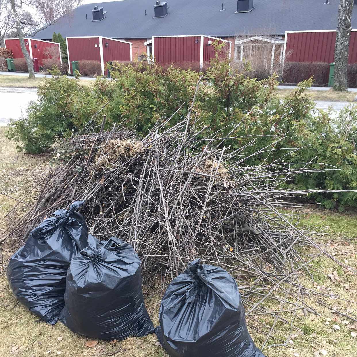 image of Rishög och 3 lätta säckar - Järfälla
