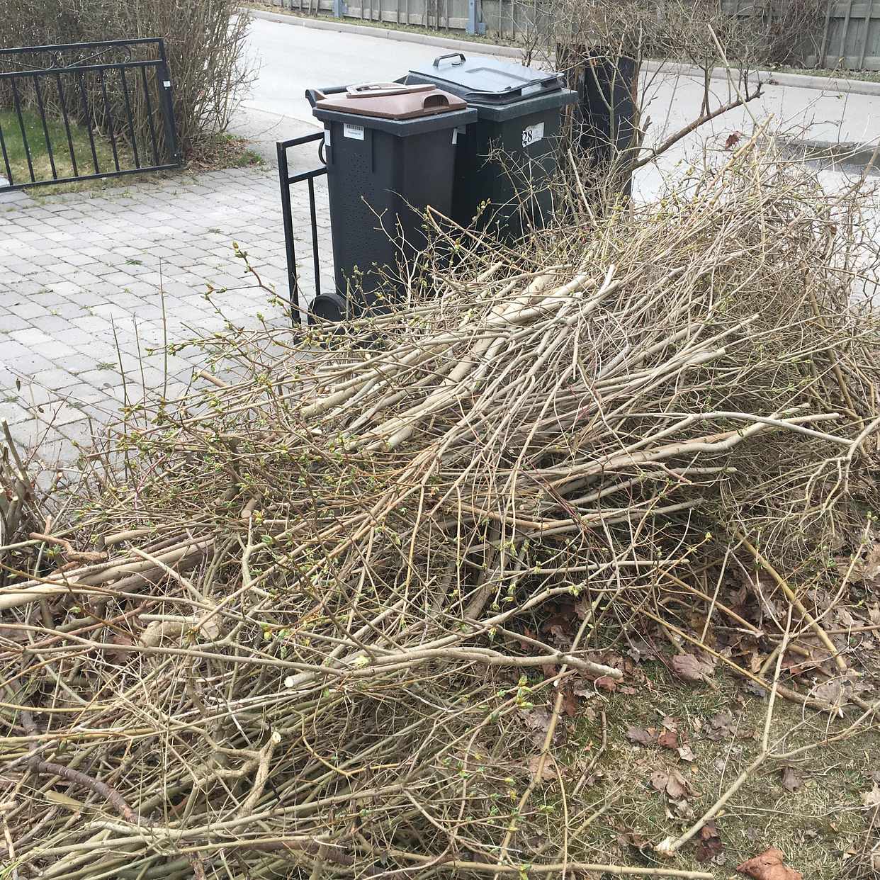 image of Löv i påsar och Ris - Bromma