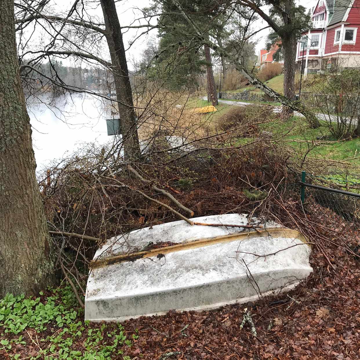 image of Rishög, stubbar, löv - Nacka