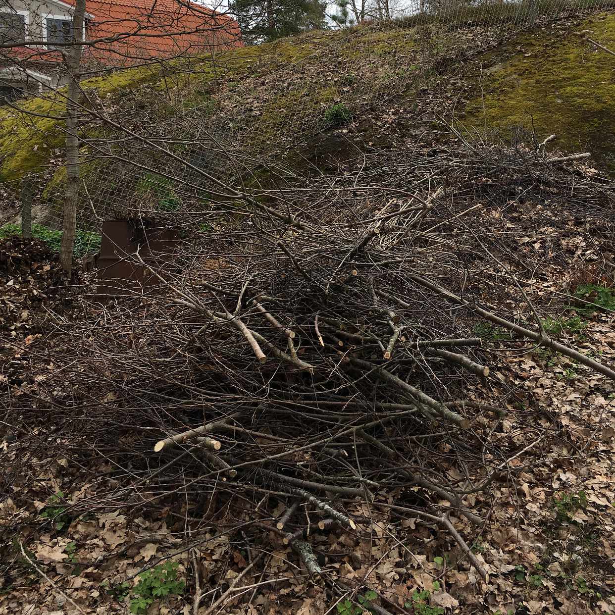 image of Grenar och kvistar - Täby