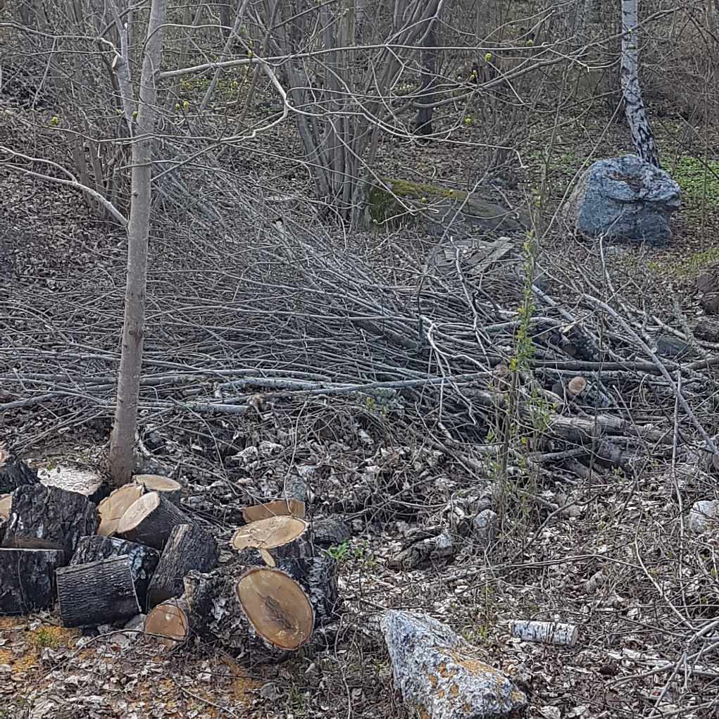 image of Ris +ved - Vallentuna