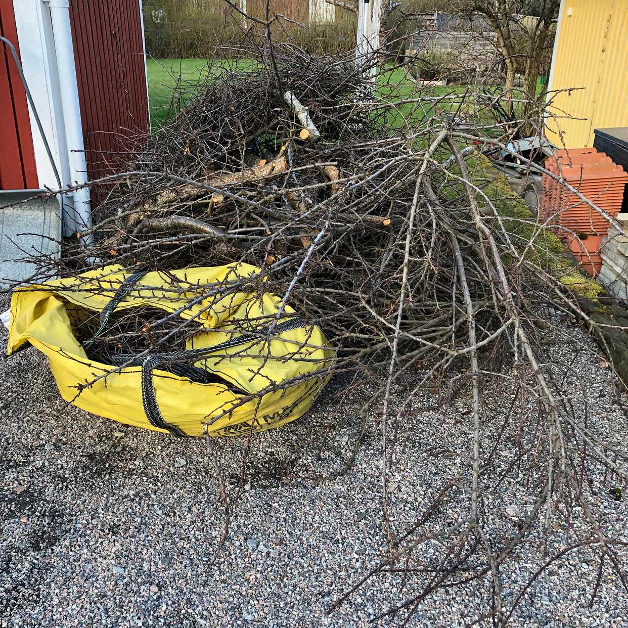 image of Grenar från träd - Upplands Väsby