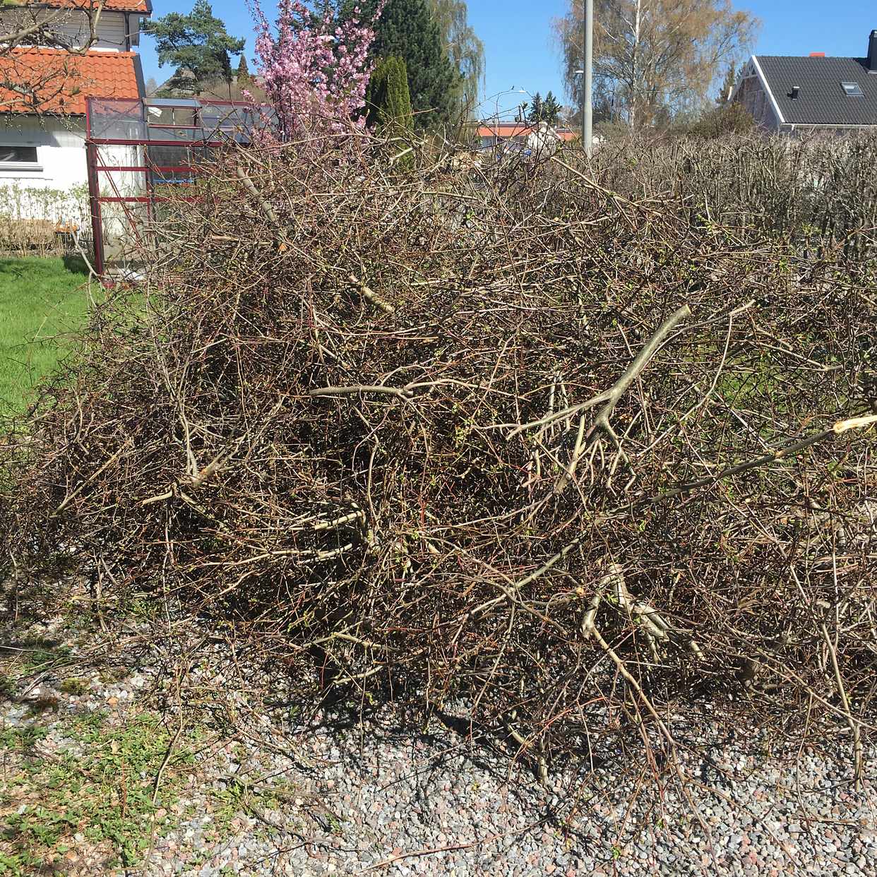 image of Kvisthög till tippen - Spånga