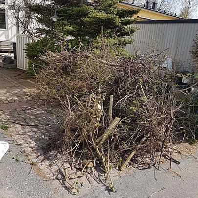 image of Mest grenar plus plasttak -  Upplands Väsby