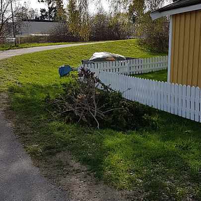 image of Mest grenar plus plasttak -  Upplands Väsby