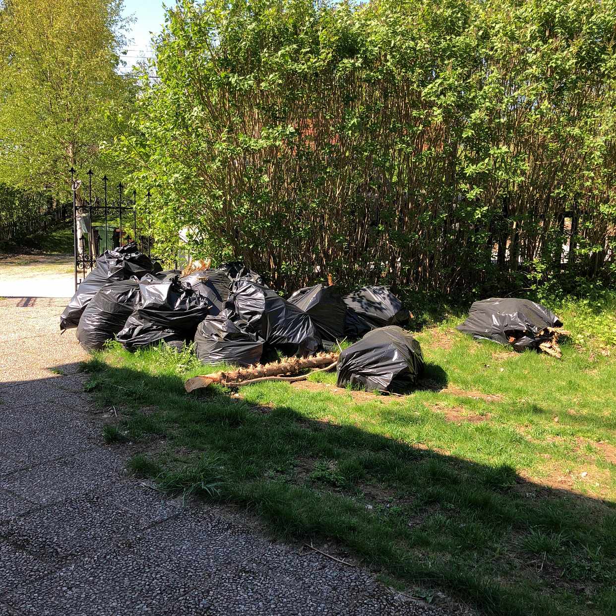 image of 16 sopsäckar löv och gren - Sollentuna