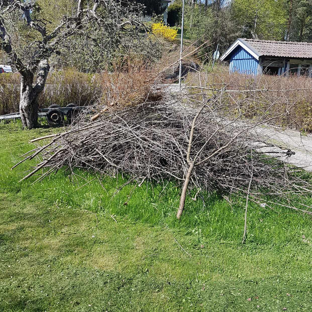 image of Grenar och kvistar - Huddinge