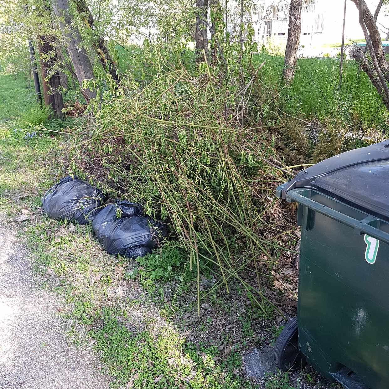 image of Ris o grenar - Huddinge
