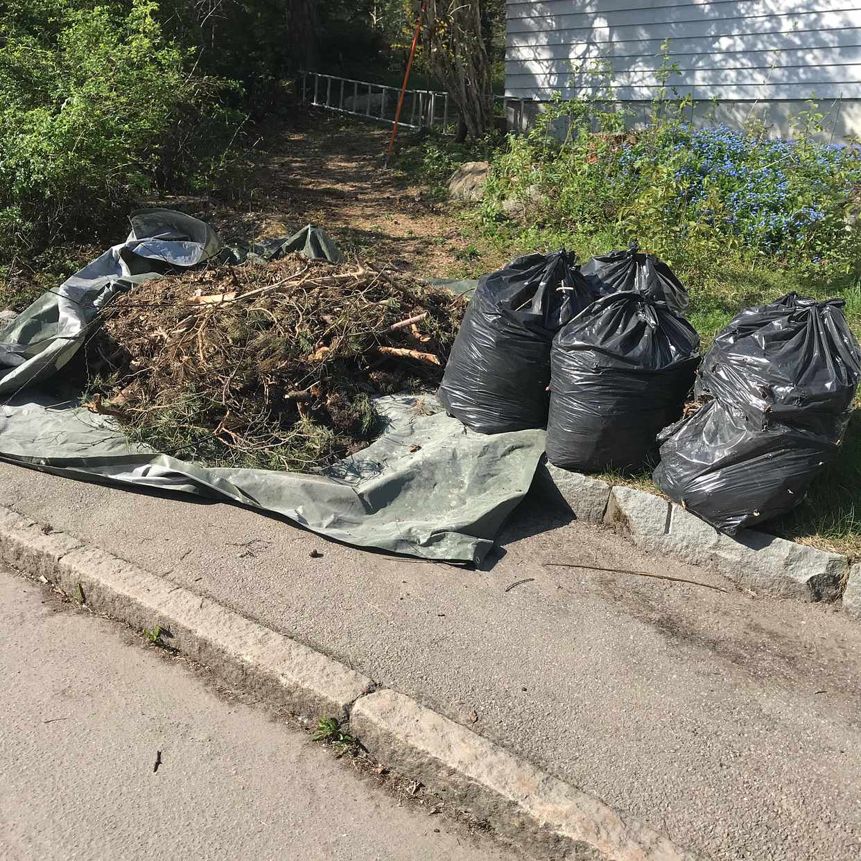 image of 1 rishög & 5 säckar ris - Bromma