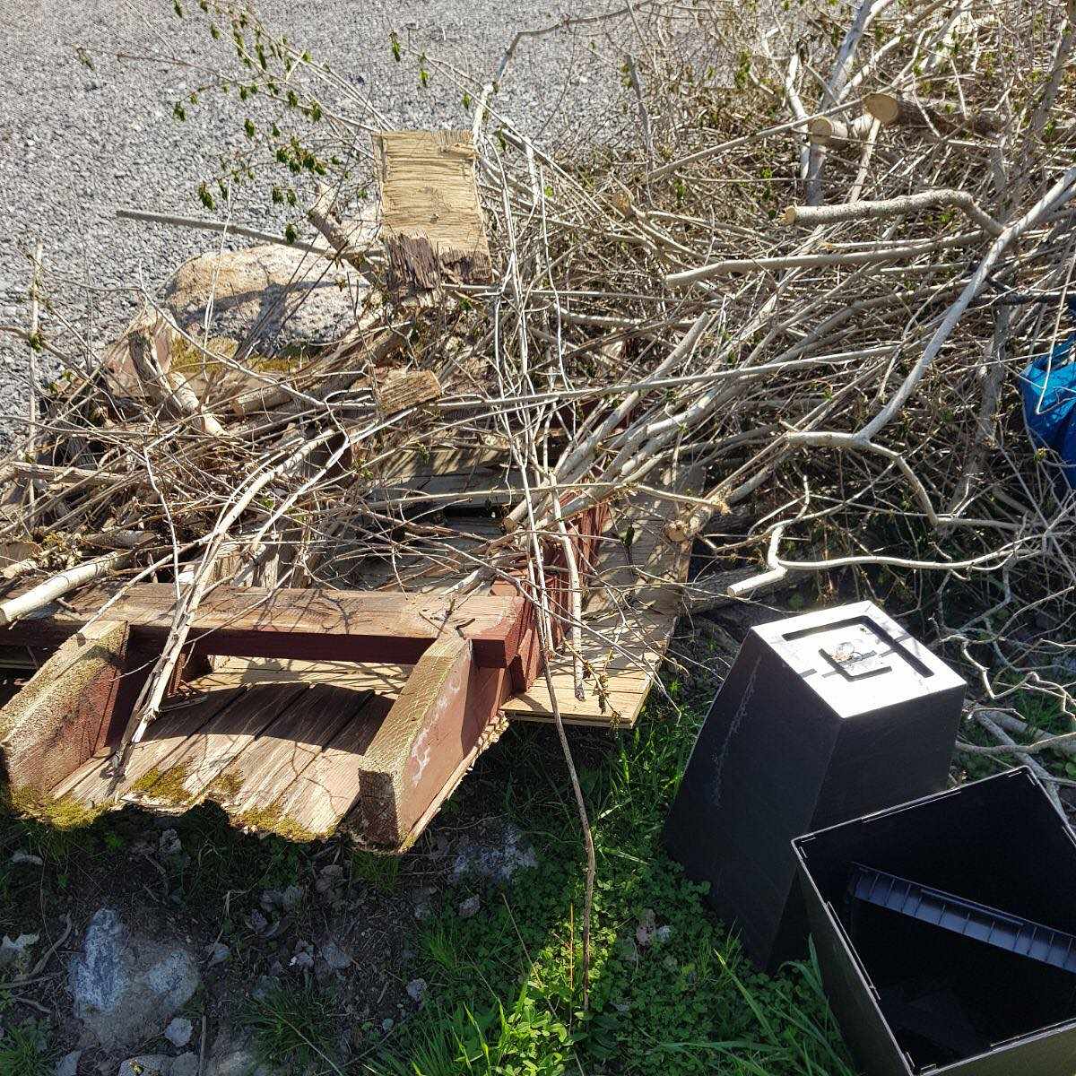 image of Mest ris och lite virke - Trångsund