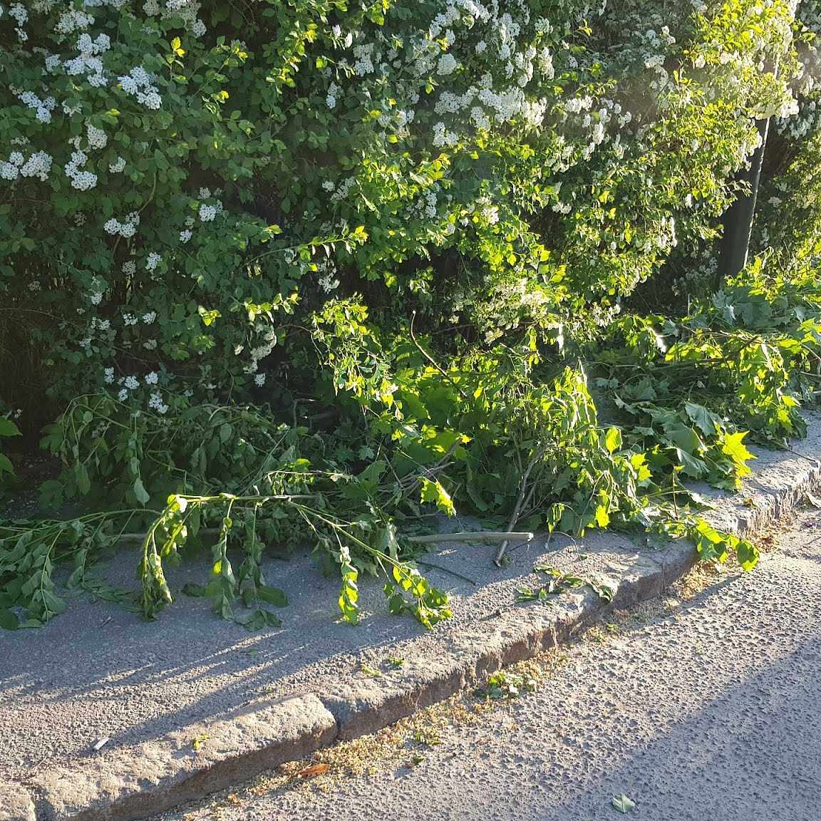 image of Trädgårdsavfall och studs -  Hägersten