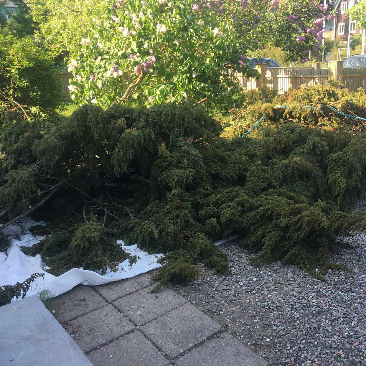 image of Nersågad en, ca 3kubik. - Nacka