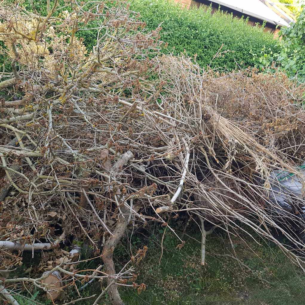 image of Upphämtning till tippen - Bunkeflostrand