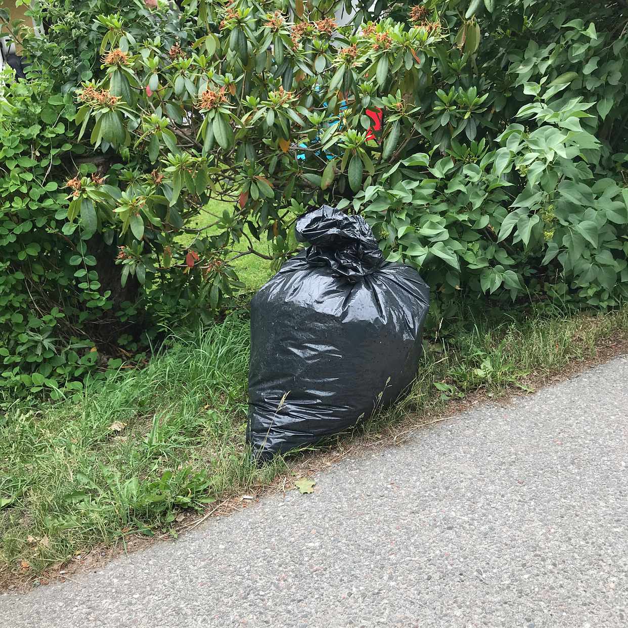 image of Garden garbage - Skogås