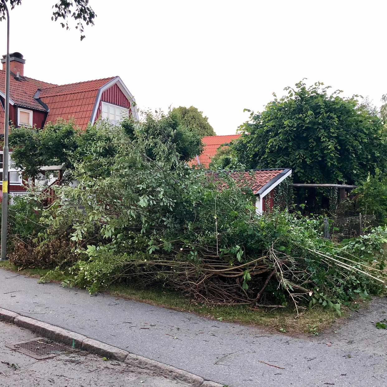 image of Grenar och småträd - Enskededalen