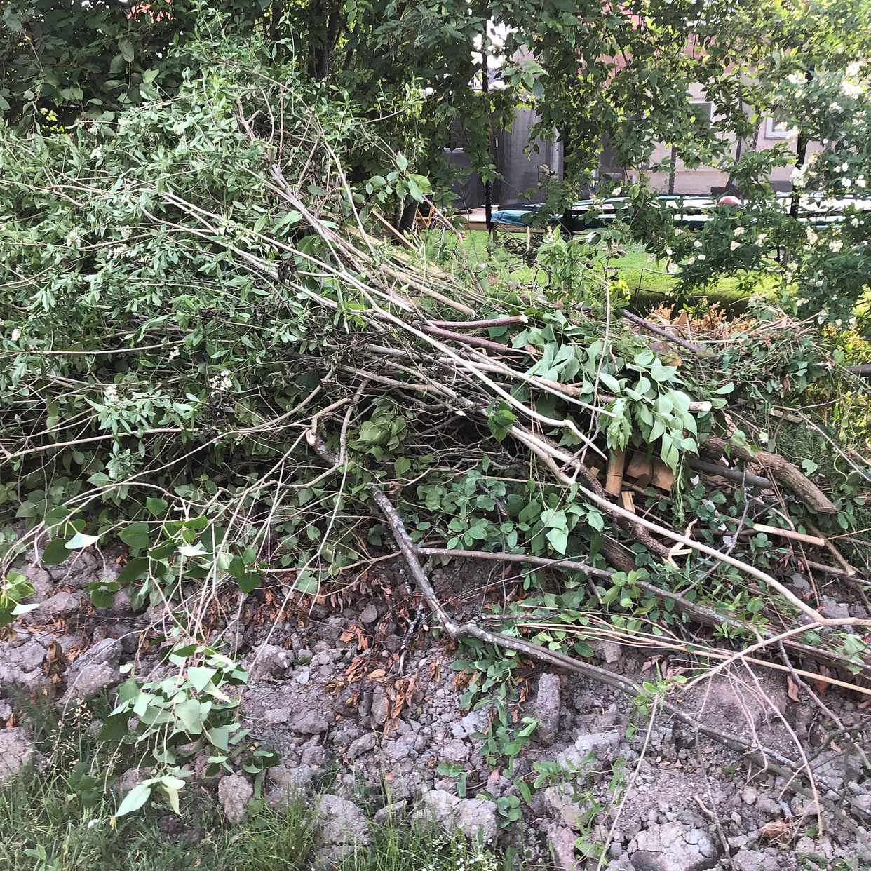 image of Jord och grenar. - Danderyd