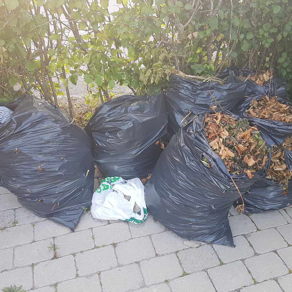 image of Några säckar löv och gren - Bromma