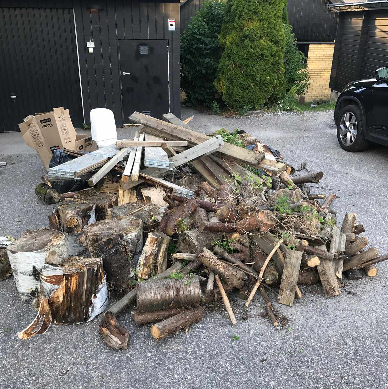 image of Björkstubbar/ved toastol - Vallentuna
