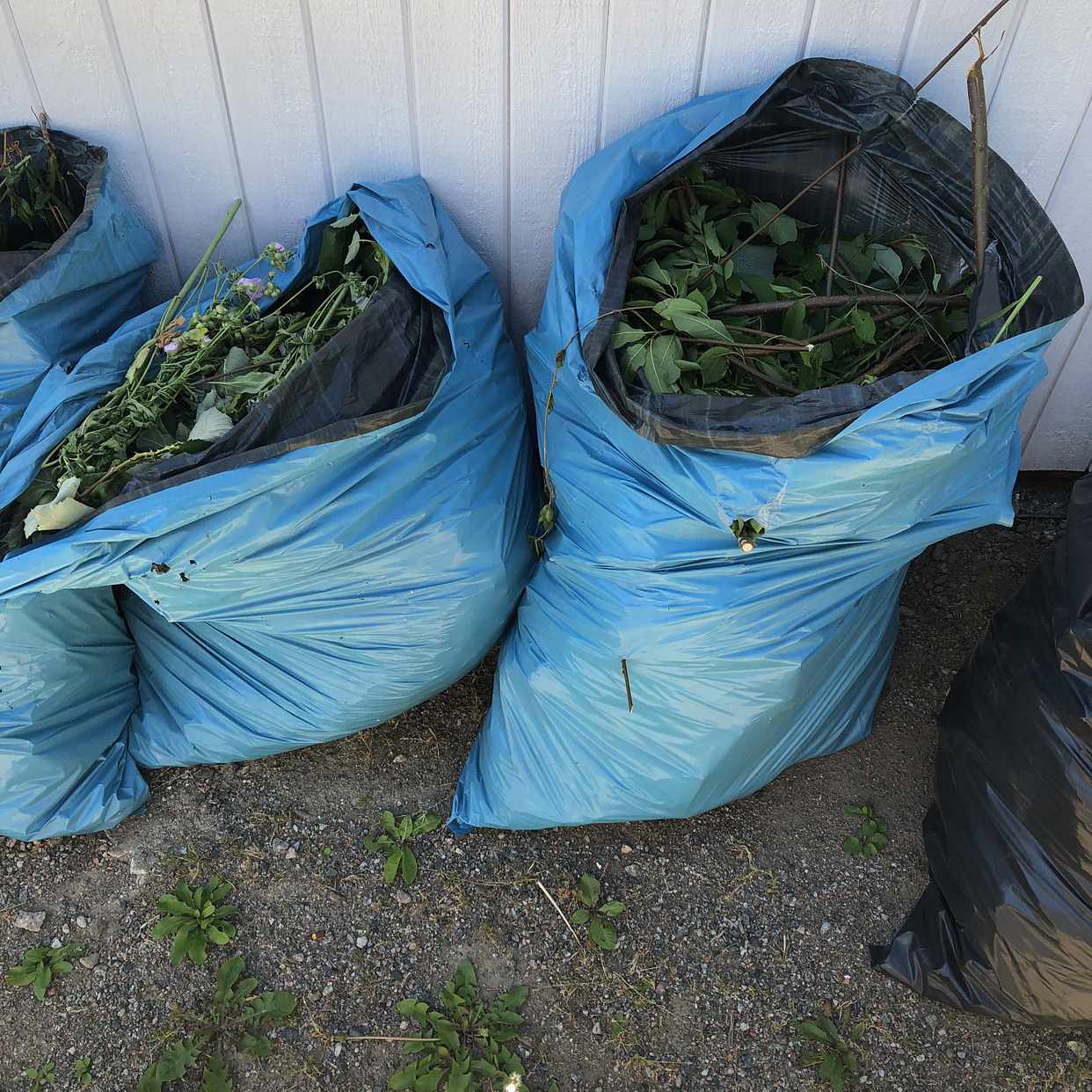 image of Säckar trädgårdsavfall - Älta