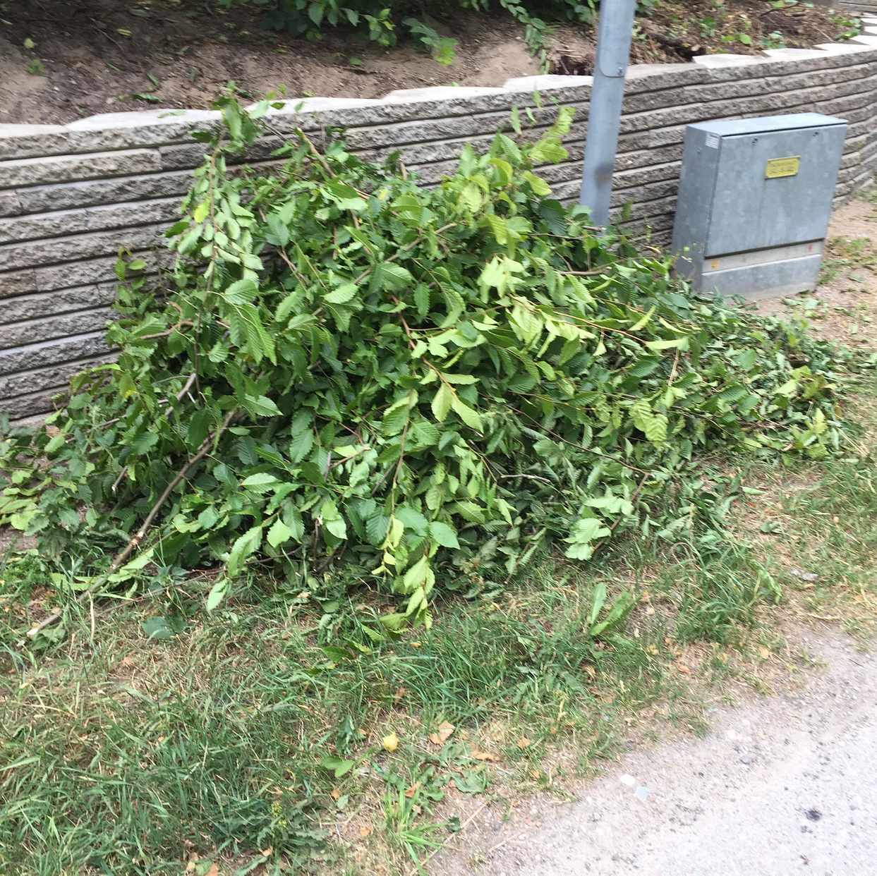 image of Trädgårdsavfall - Lidingö