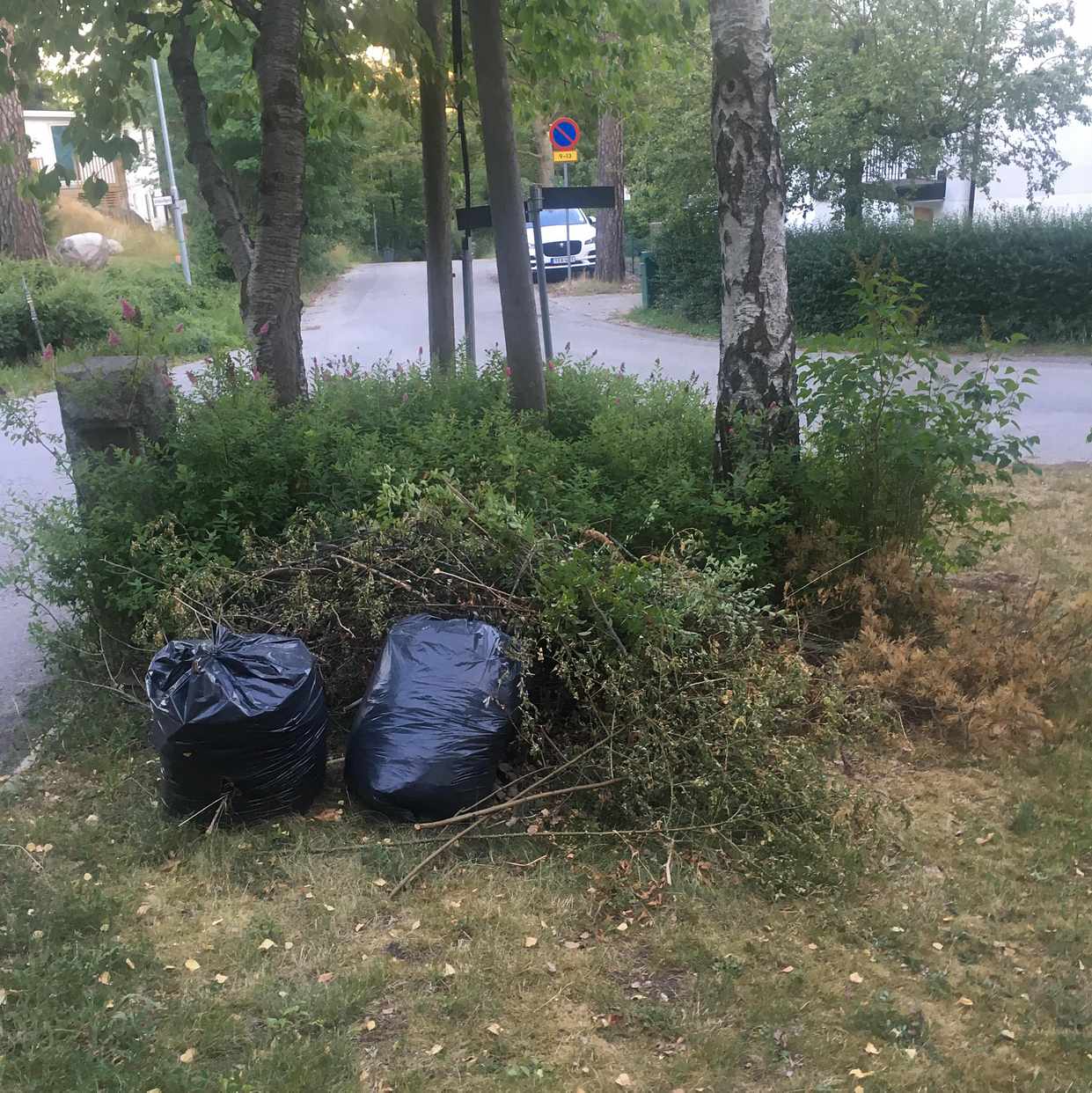 image of Två lövsäckar och ris - Djursholm