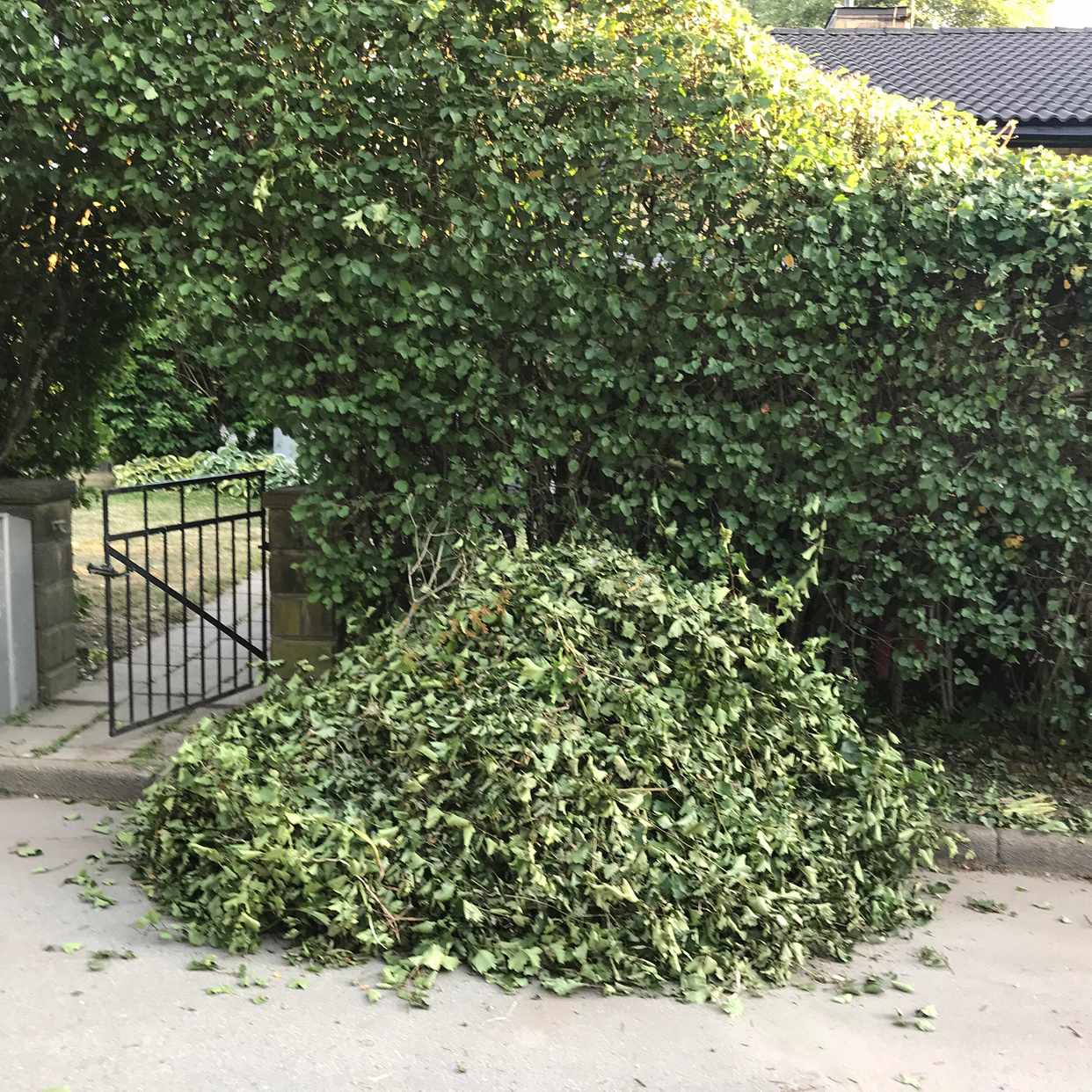 image of Häckklipp 2 högar - Spånga