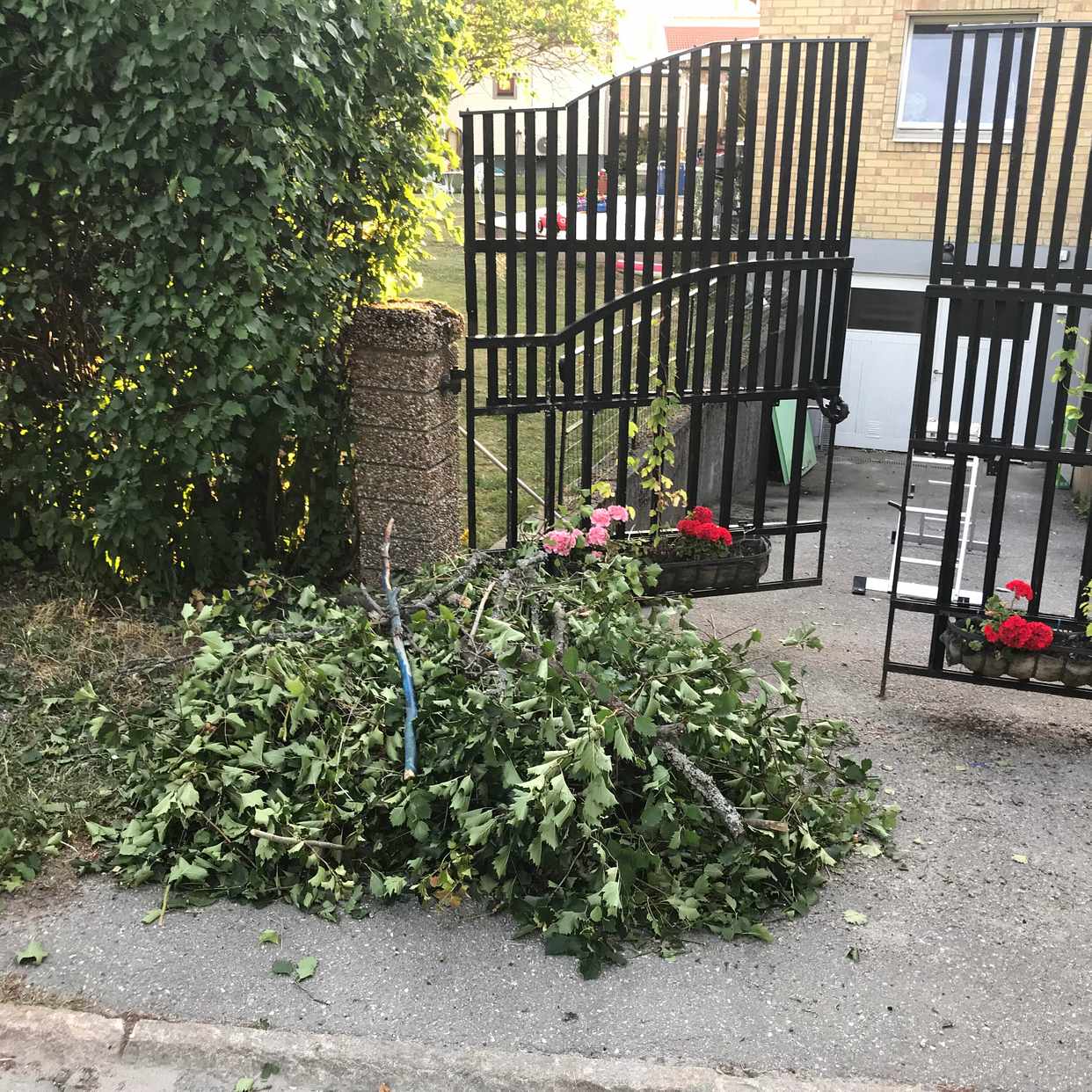 image of Häckklipp 2 högar - Spånga
