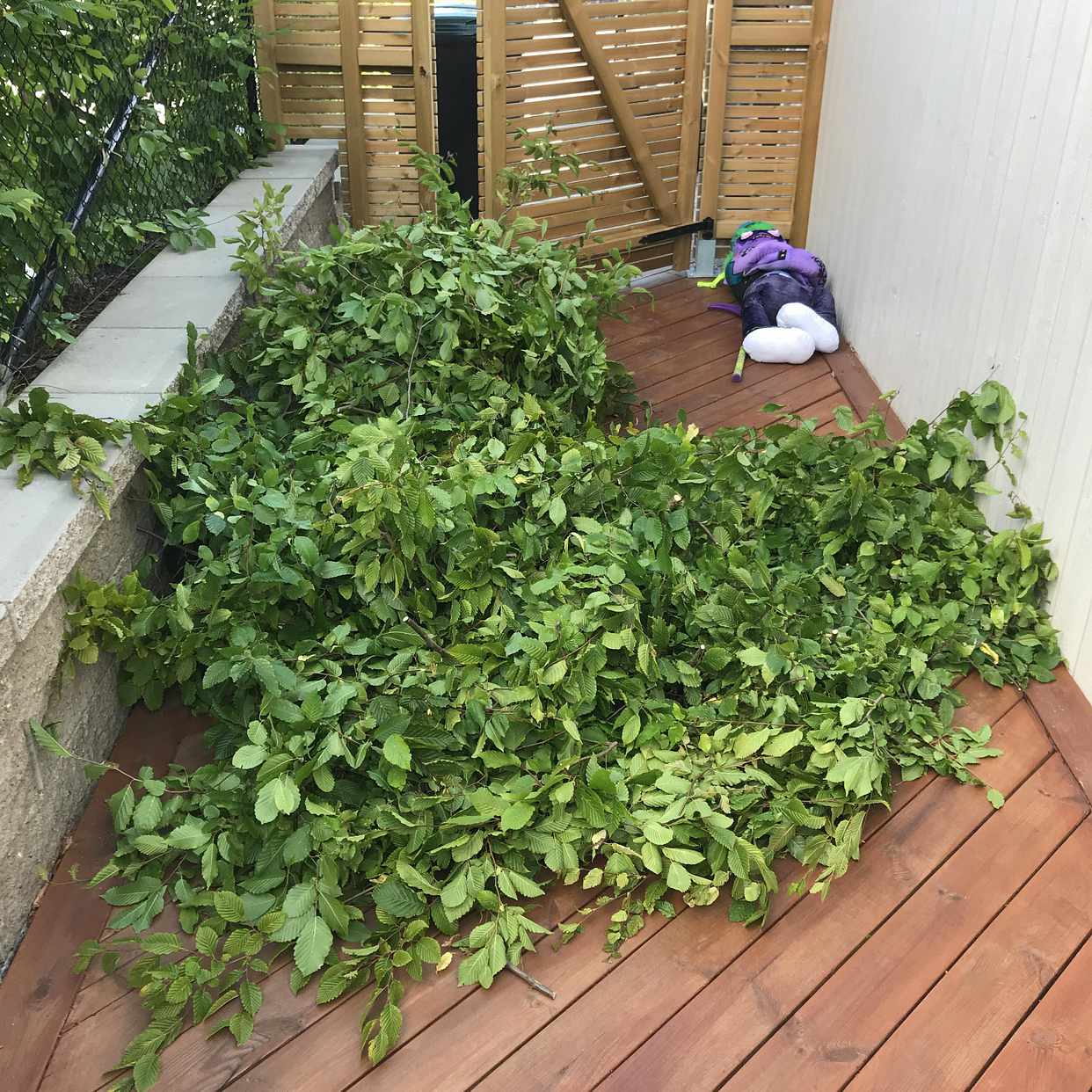 image of Mest från trädgårdsarbete - Värmdö