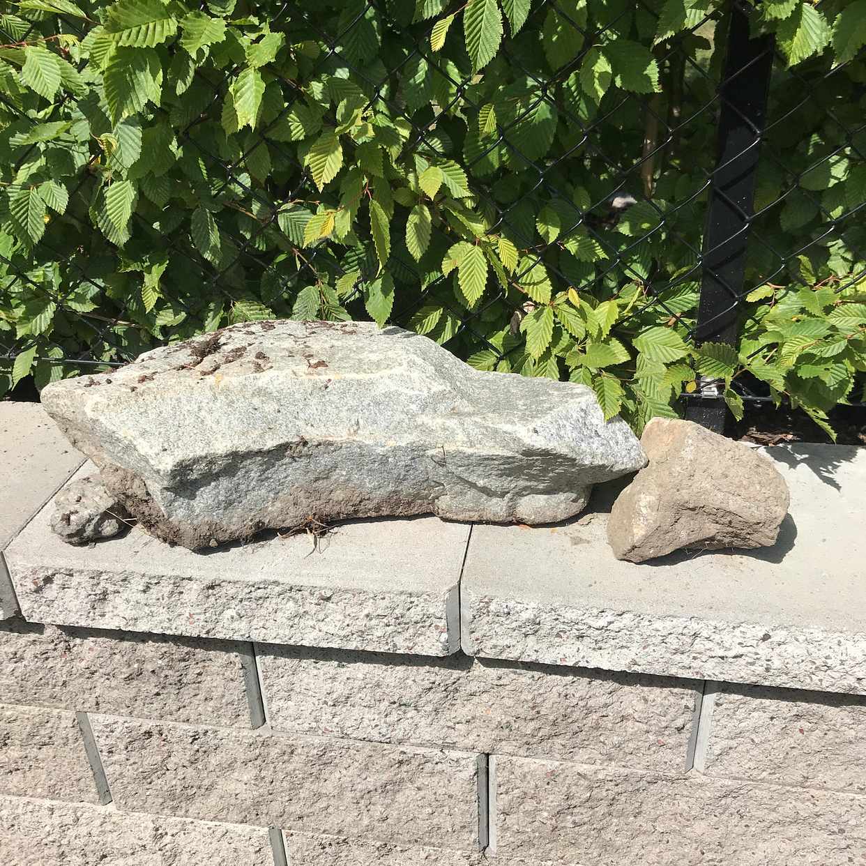 image of Mest från trädgårdsarbete - Värmdö