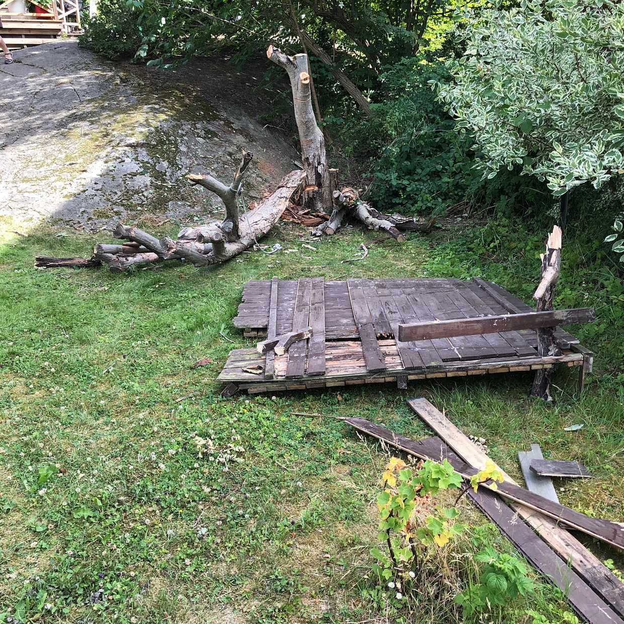 image of Trasig trädkoja, träd,ris - Älvsjö