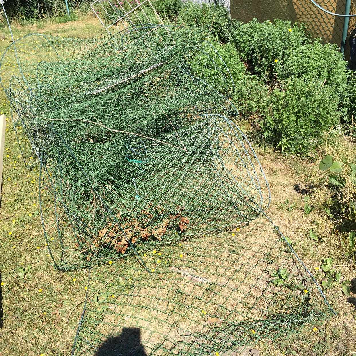 image of Div trädgårdsavfall - Älta