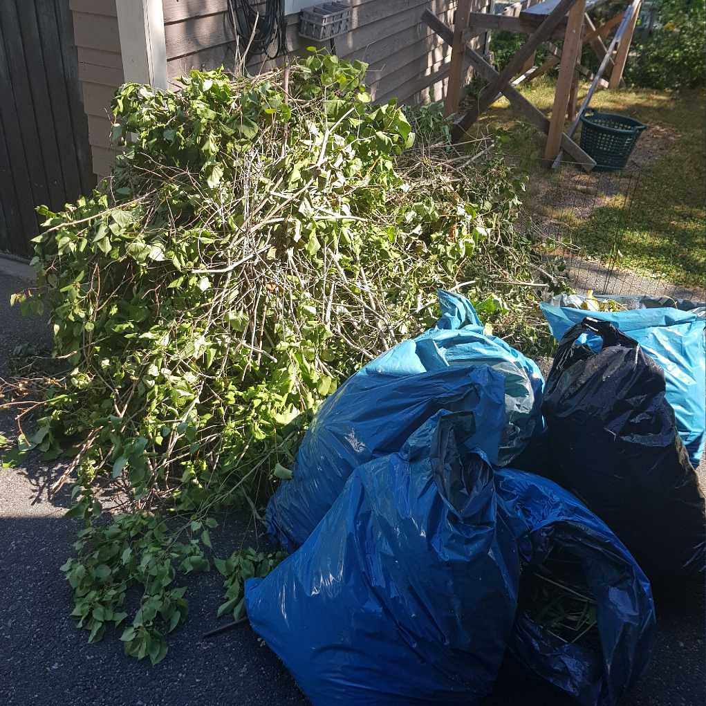 image of Grenar o trädgårdsavfall - Huddinge