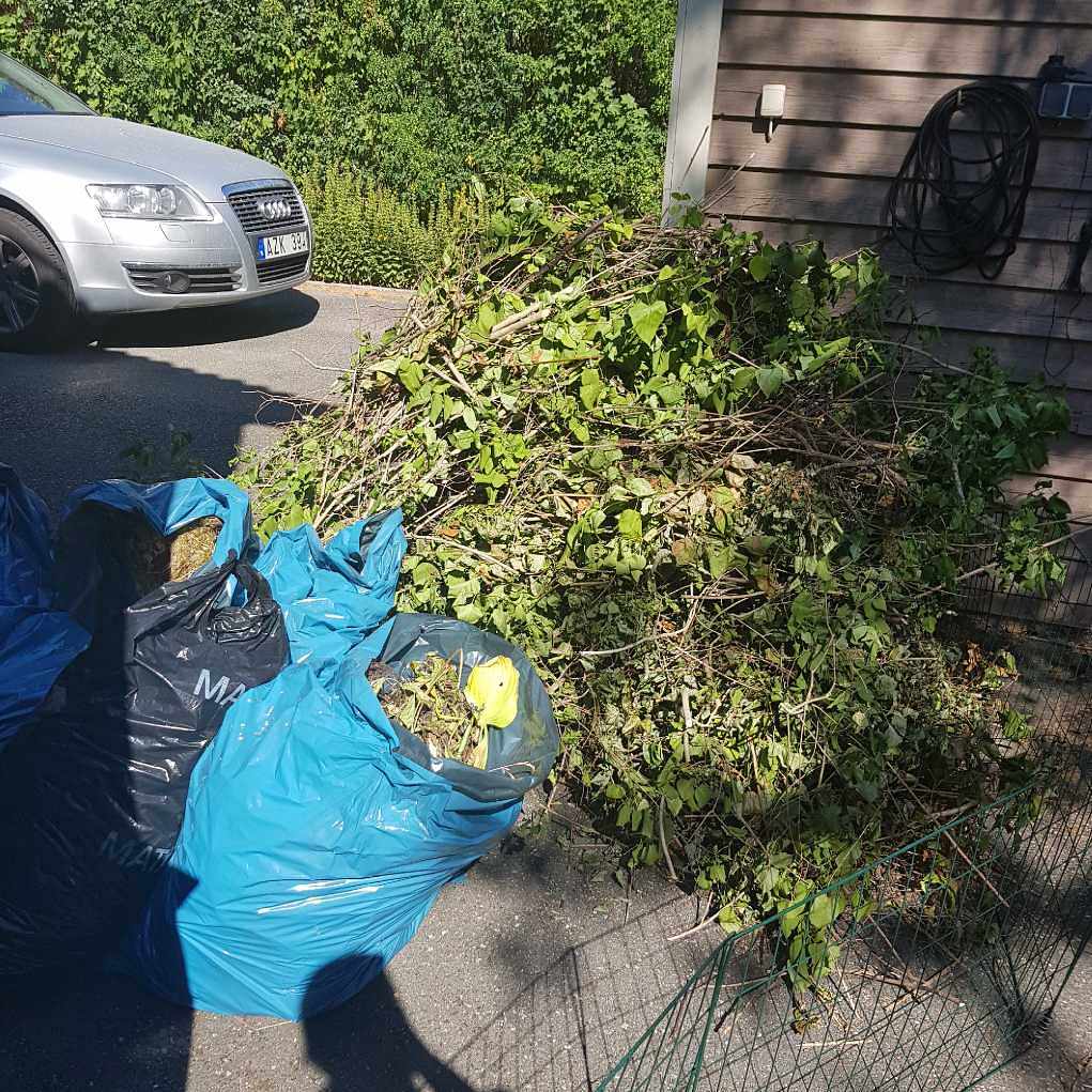 image of Grenar o trädgårdsavfall - Huddinge