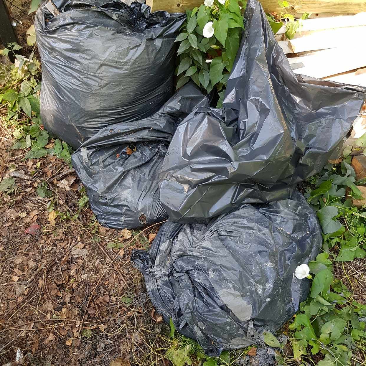 image of Trädgårdkompost+sopsäckar -  Lidingö