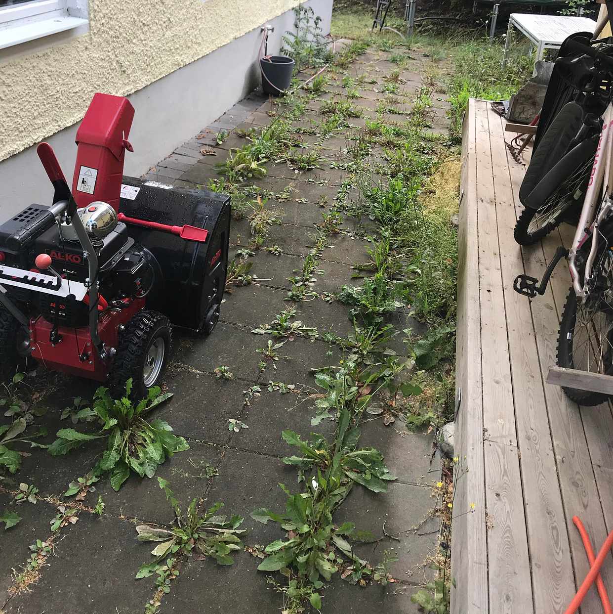 image of 6 timmars ogräsrensning - Lidingö