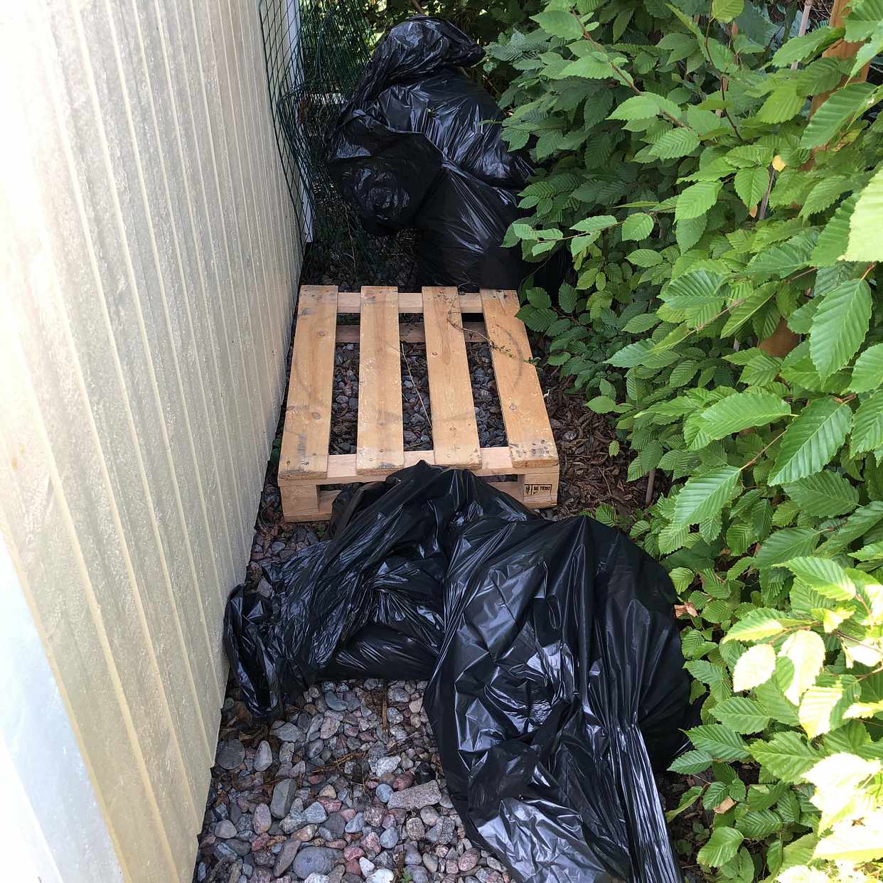 image of Trädgårdsavfall i sopsäck - Bromma