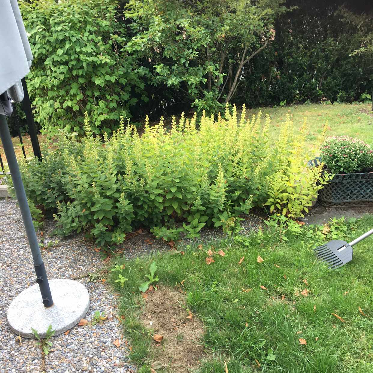 image of Flytta blommor en Tim - Lidingö