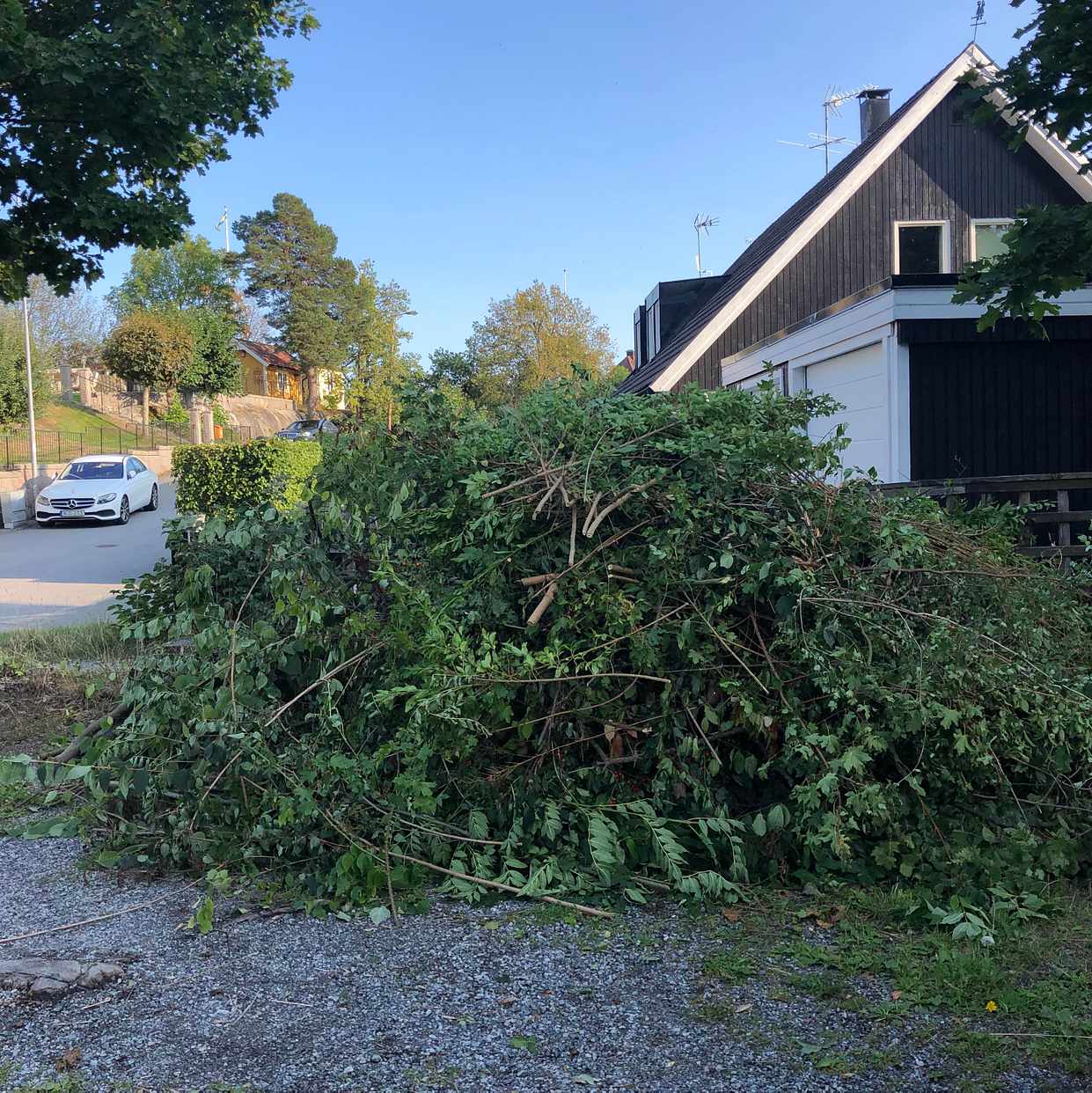 image of Grenar, stor hög - Saltsjöbaden