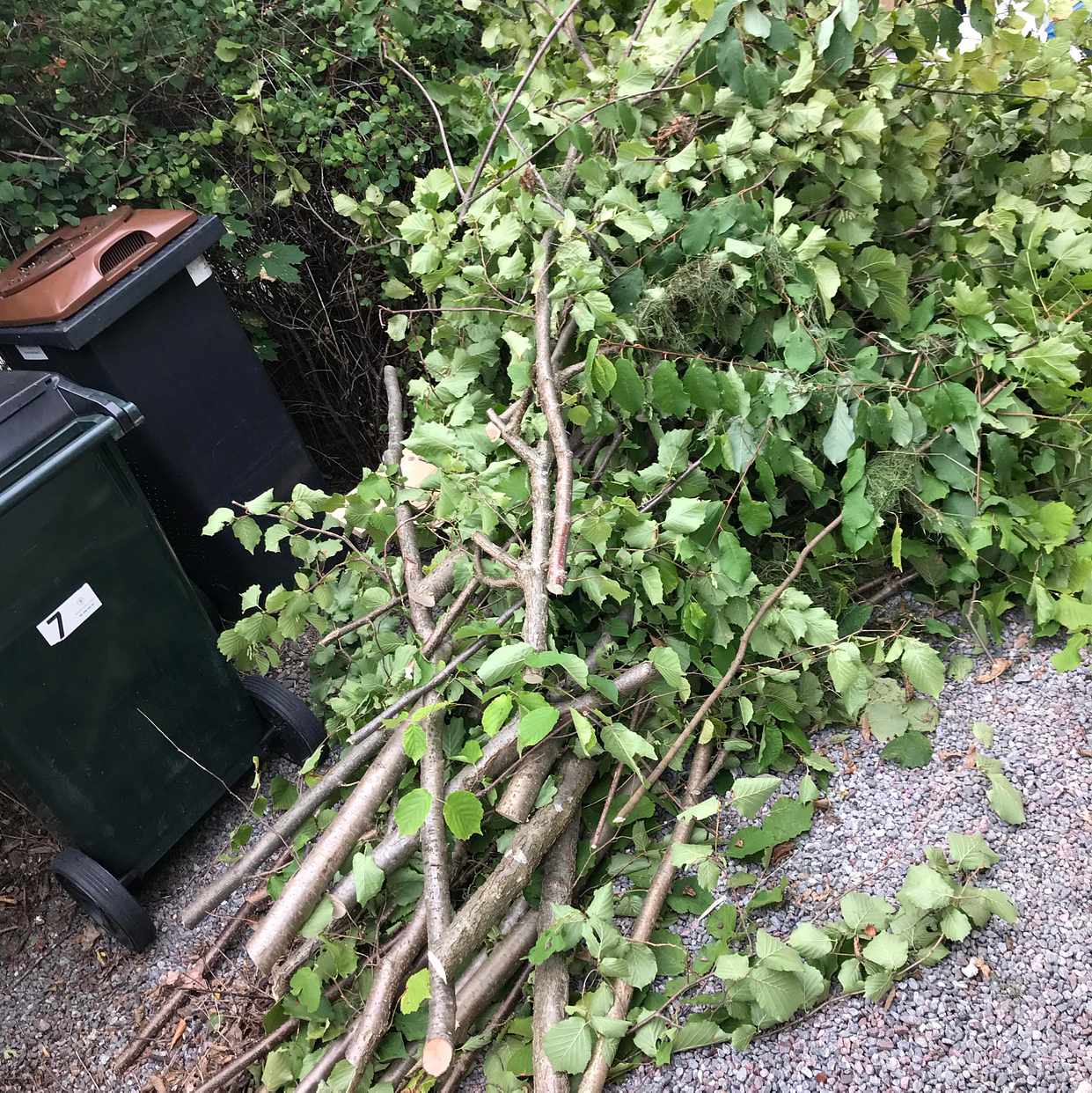 image of Två högar ris/kvistar - Bromma