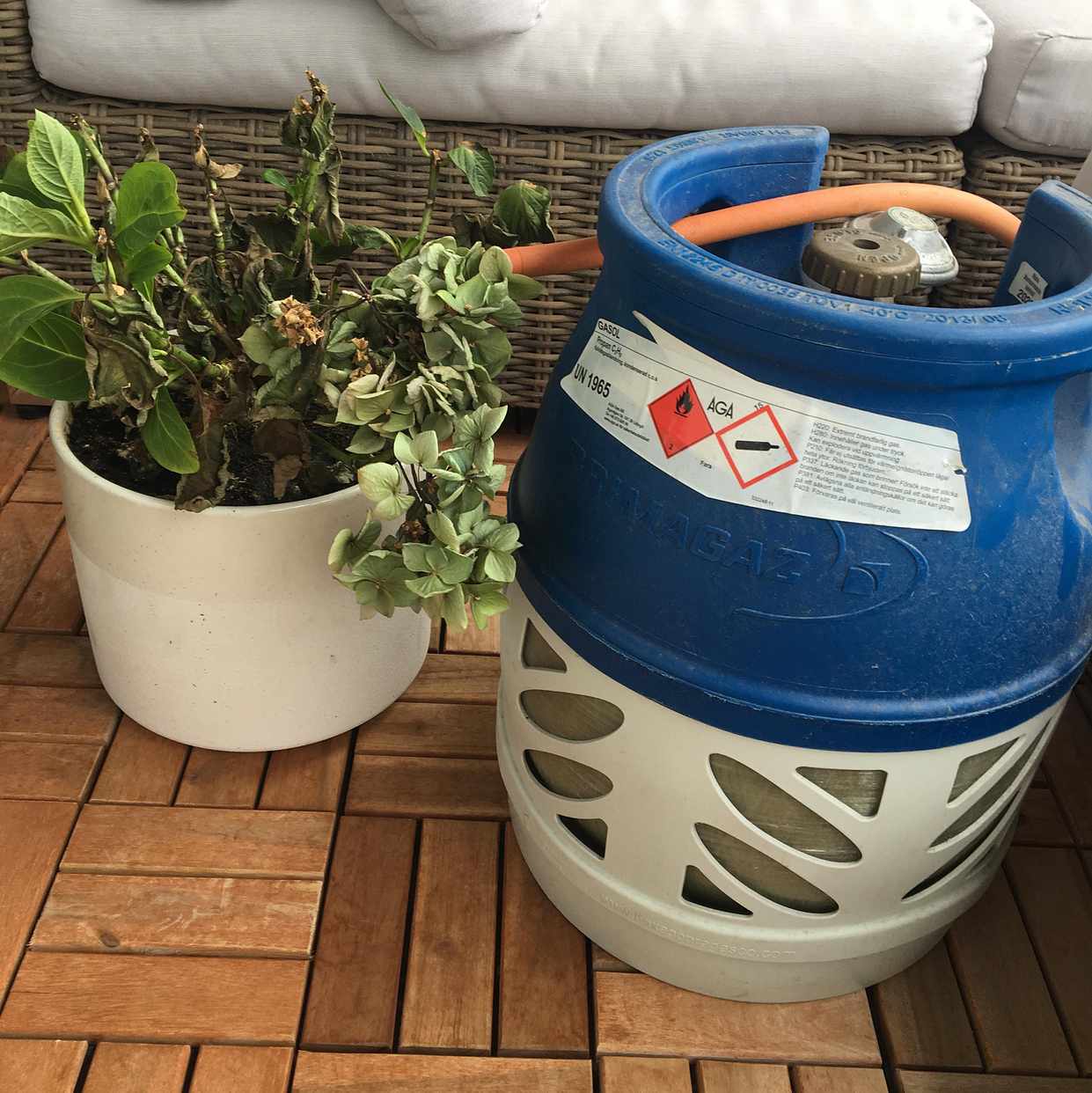 image of Gasol + planta - Stockholms Stad