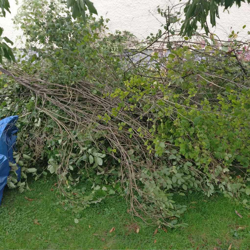 image of Trädgårdsavfall -  Hägersten