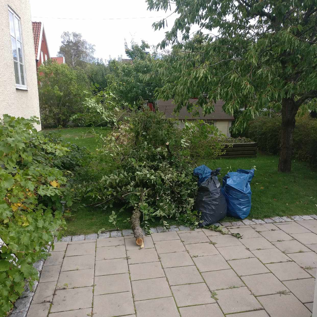 image of Trädgårdsavfall -  Hägersten