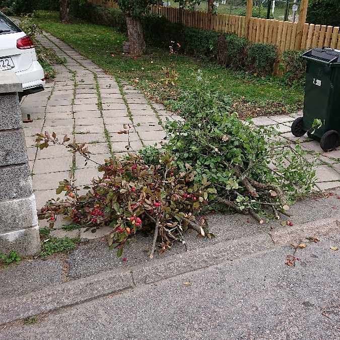 image of Grenar, 2 mindre högar - Älvsjö